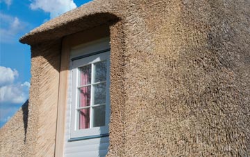 Southcourt thatch roof disadvantages